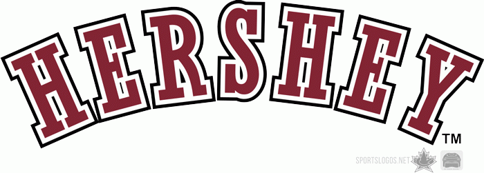 Hershey Bears 2009 10 Wordmark Logo iron on transfers for T-shirts